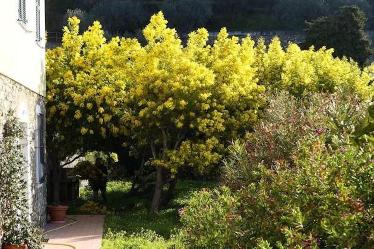 Agriturismo San Michele Di Danio Giovanni Дольчедо Экстерьер фото